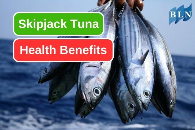 5 Health Benefits You Can Get From Skipjack Tuna